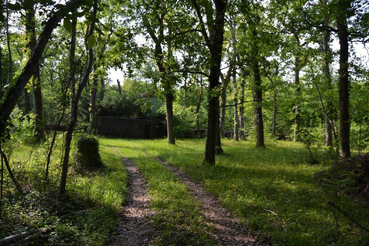 Ferme De Mouline Villa Sainte-Foy-la-Longue Buitenkant foto